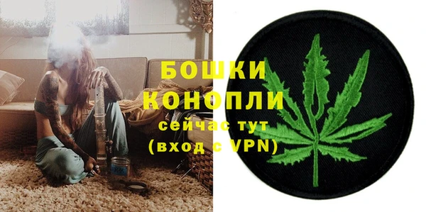 гидра Карталы